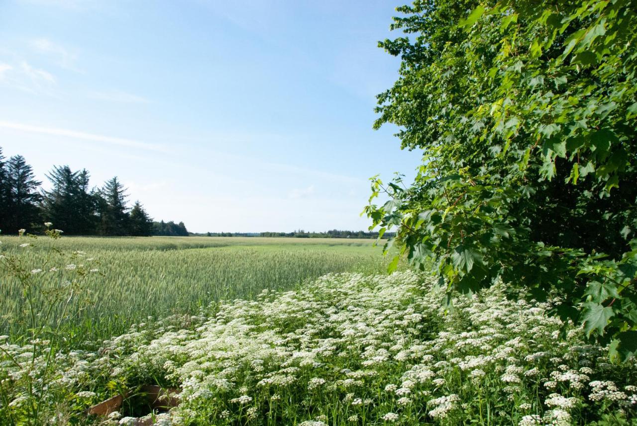 Fuglsang Bed & Breakfast Hjørring Esterno foto