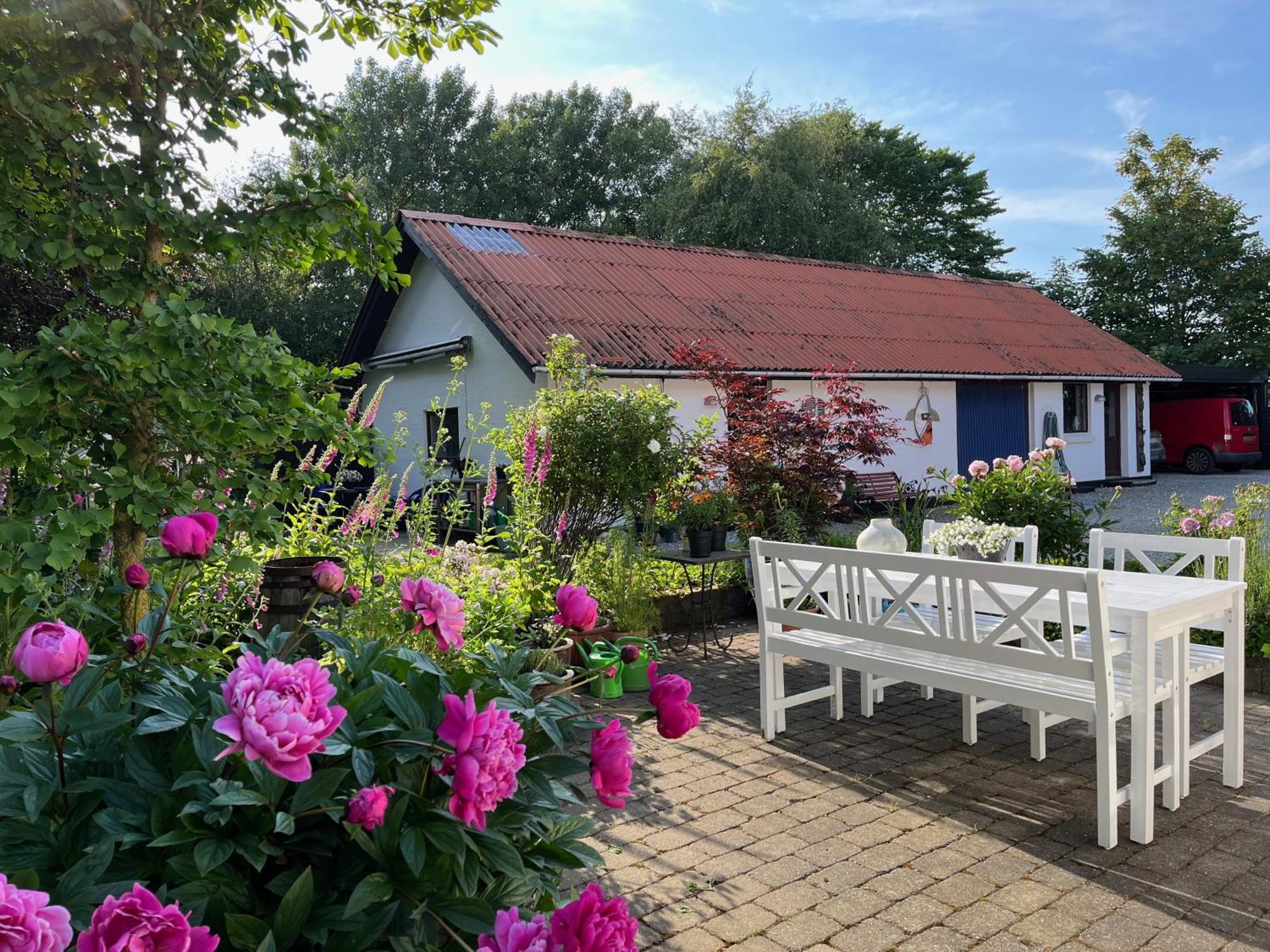 Fuglsang Bed & Breakfast Hjørring Esterno foto